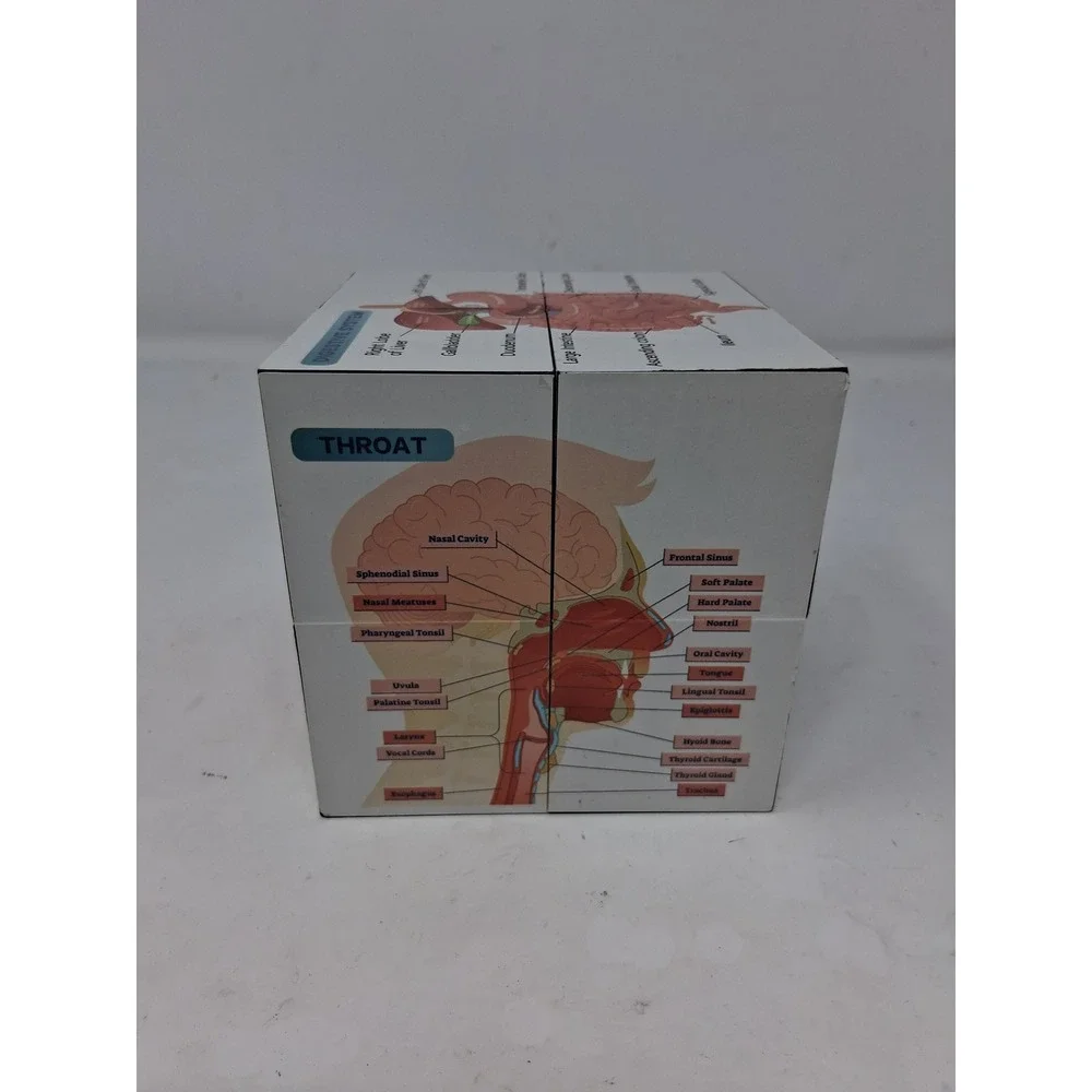 Human Anatomy Educational foldn Cube Medical Science Study Aid Reference Tool. Z